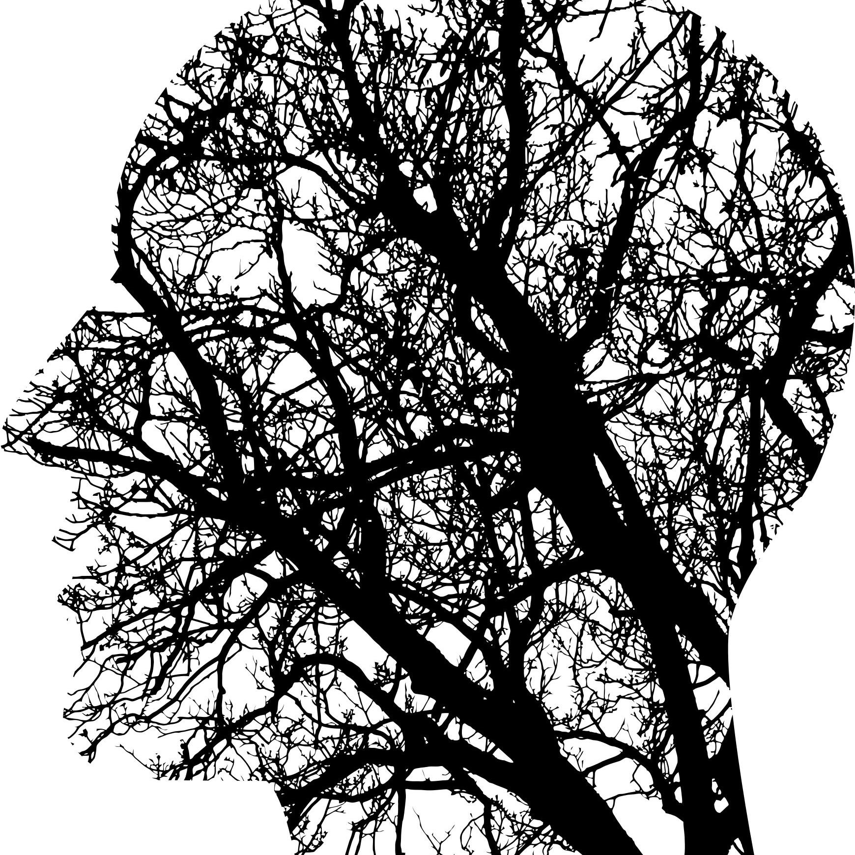 Silhouette eines Kopfes mit Bäumen drinnen (c) Pfarrbriefservice Silhouette eines Kopfes mit Bäumen drinnen
